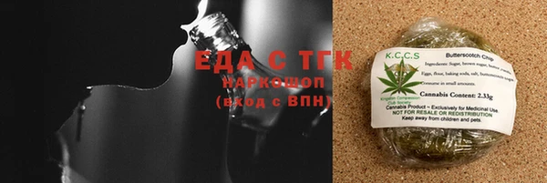 гашик Сясьстрой