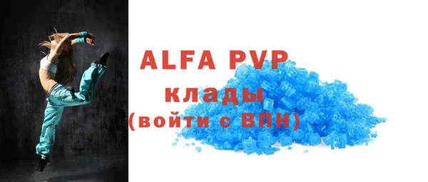 гашик Сясьстрой