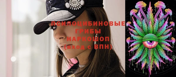 гашик Сясьстрой