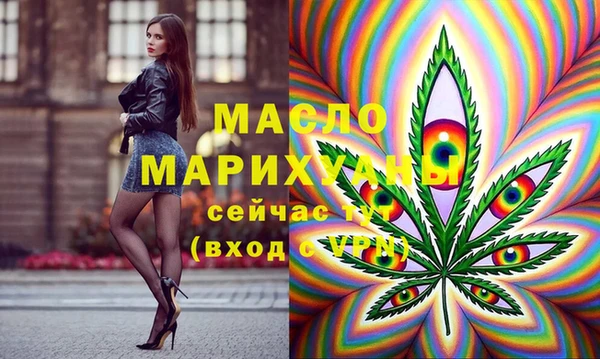 гашик Сясьстрой