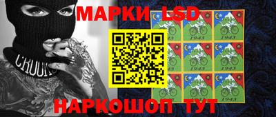 шишки Владимир