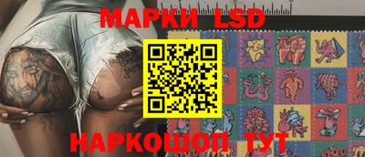 шишки Владимир