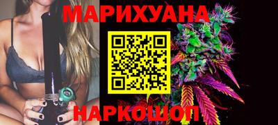 шишки Владимир