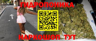 шишки Владимир