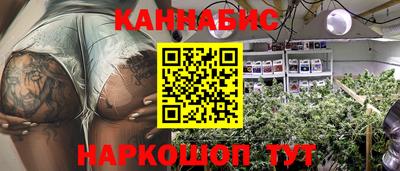 шишки Владимир