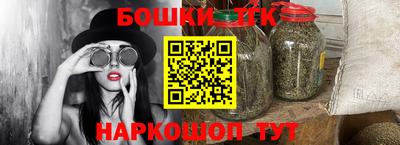 шишки Владимир