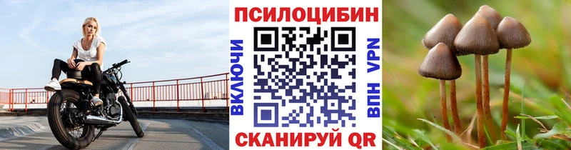 Галлюциногенные грибы Psilocybe  Тутаев 