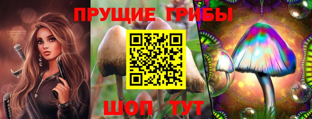 Тутаев  Галлюциногенные грибы прущие грибы  Вход с VPN  Псилоцибиновые грибы ЛСД 
