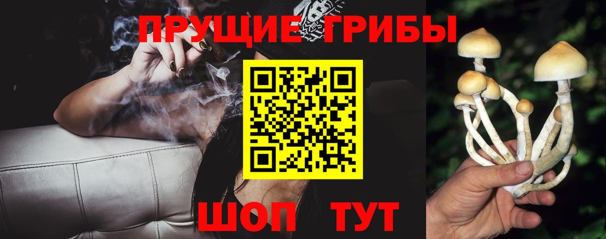 Галлюциногенные грибы мицелий Тутаев
